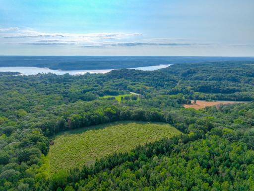 A rare opportunity to subdivide 45 acres in Afton or enjoy this natural wildlife playground for yourself!