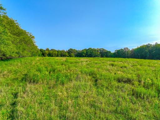 XXXX Afton Boulevard, Afton, MN 55001