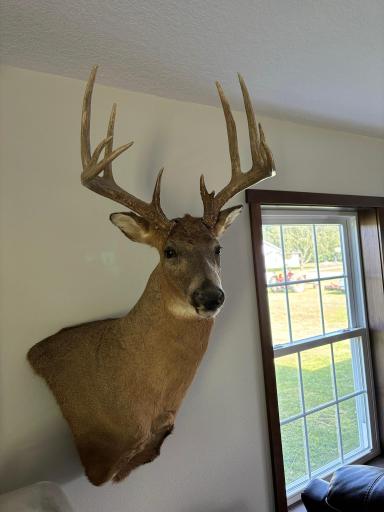 0 Walsky, Galesville, WI 54630