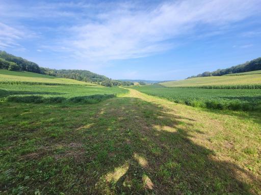 0 Walsky, Galesville, WI 54630