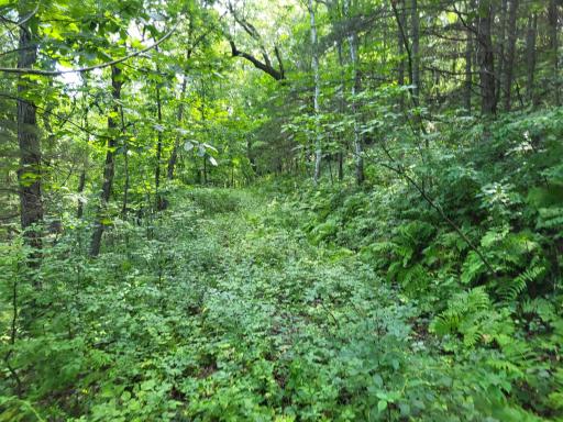 0 Walsky, Galesville, WI 54630