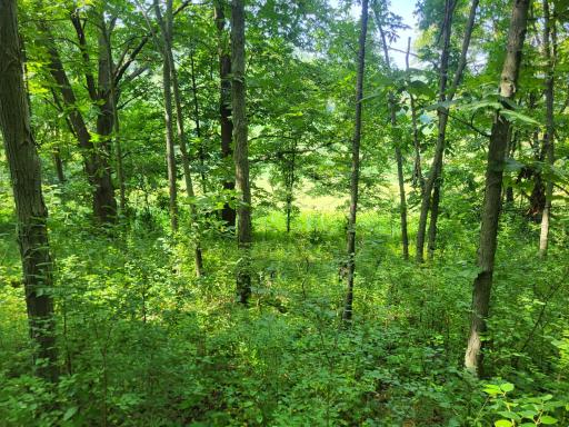 0 Walsky, Galesville, WI 54630