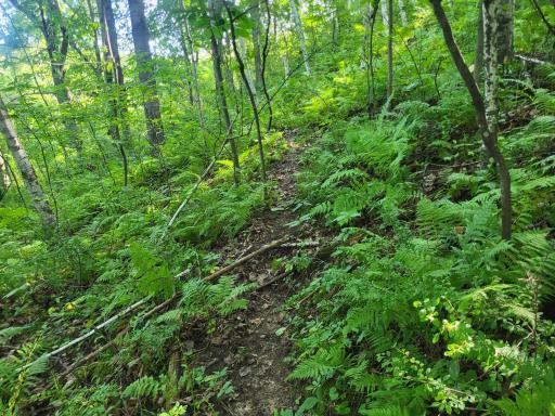 0 Walsky, Galesville, WI 54630