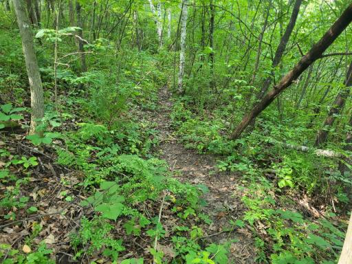 0 Walsky, Galesville, WI 54630