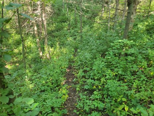 0 Walsky, Galesville, WI 54630