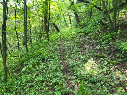 0 Walsky, Galesville, WI 54630