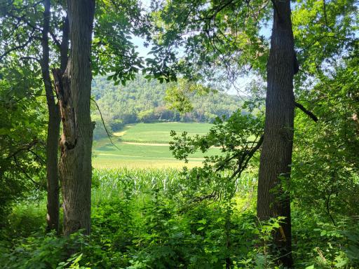 0 Walsky, Galesville, WI 54630