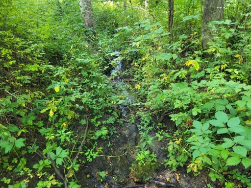 0 Walsky, Galesville, WI 54630