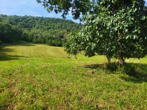 0 Walsky, Galesville, WI 54630