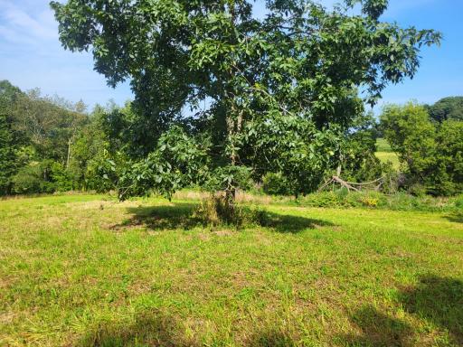 0 Walsky, Galesville, WI 54630