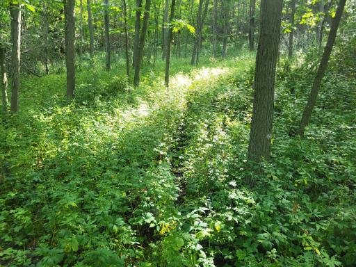 0 Walsky, Galesville, WI 54630
