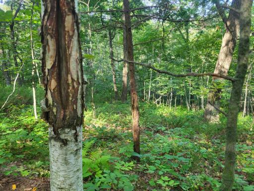 0 Walsky, Galesville, WI 54630