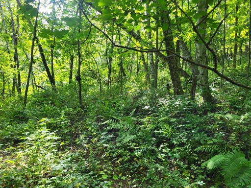 0 Walsky, Galesville, WI 54630