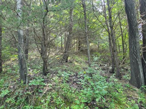 0 Walsky, Galesville, WI 54630