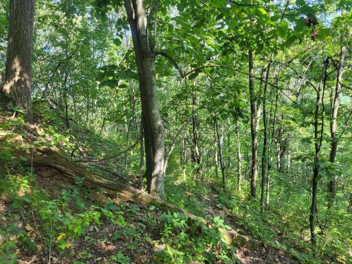 0 Walsky, Galesville, WI 54630