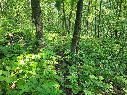 0 Walsky, Galesville, WI 54630