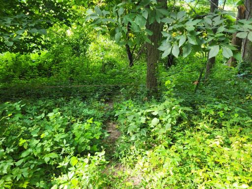 0 Walsky, Galesville, WI 54630