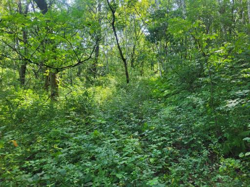 0 Walsky, Galesville, WI 54630