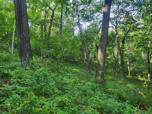 0 Walsky, Galesville, WI 54630