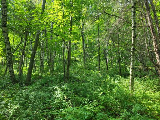 0 Walsky, Galesville, WI 54630