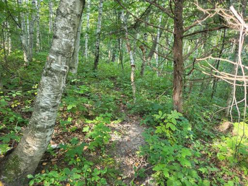 0 Walsky, Galesville, WI 54630
