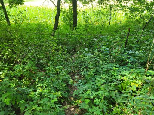 0 Walsky, Galesville, WI 54630
