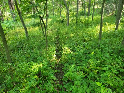 0 Walsky, Galesville, WI 54630