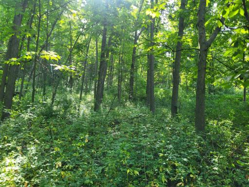 0 Walsky, Galesville, WI 54630