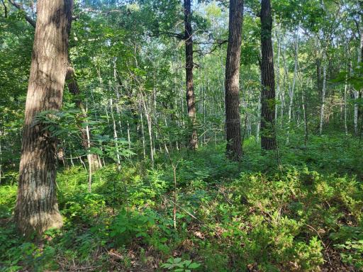 0 Walsky, Galesville, WI 54630