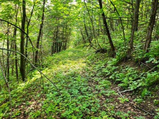 0 Walsky, Galesville, WI 54630