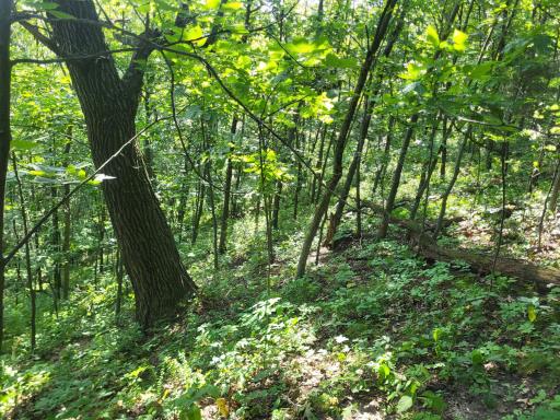 0 Walsky, Galesville, WI 54630