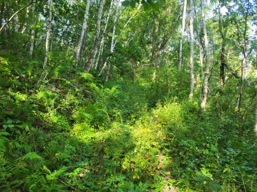0 Walsky, Galesville, WI 54630