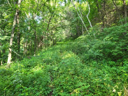 0 Walsky, Galesville, WI 54630