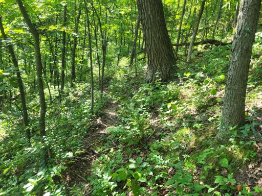 0 Walsky, Galesville, WI 54630