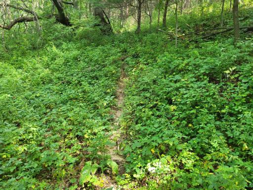0 Walsky, Galesville, WI 54630