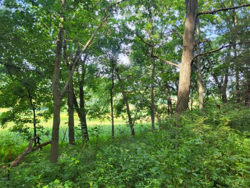 0 Walsky, Galesville, WI 54630