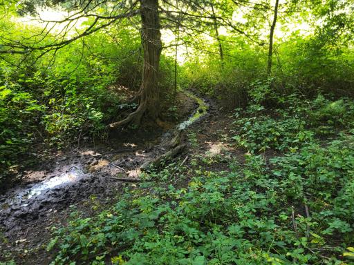 0 Walsky, Galesville, WI 54630