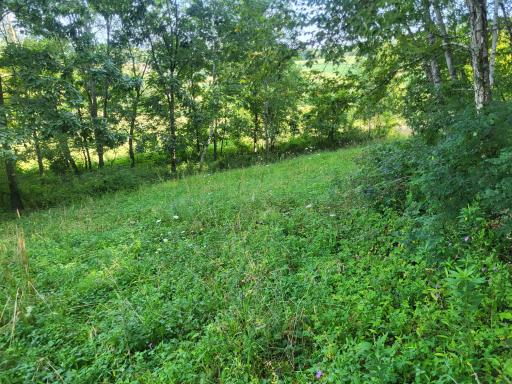 0 Walsky, Galesville, WI 54630