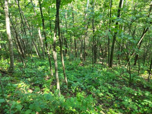0 Walsky, Galesville, WI 54630