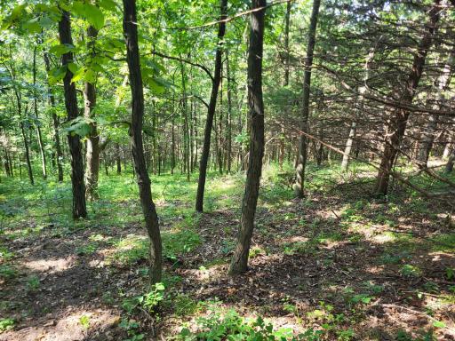 0 Walsky, Galesville, WI 54630