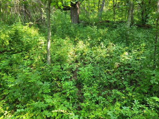 0 Walsky, Galesville, WI 54630