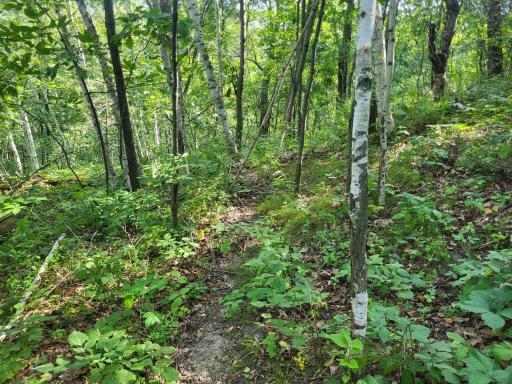 0 Walsky, Galesville, WI 54630