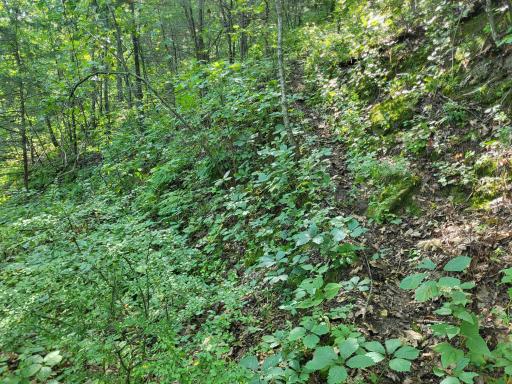 0 Walsky, Galesville, WI 54630