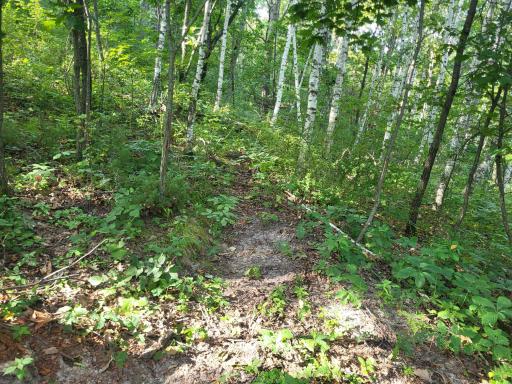 0 Walsky, Galesville, WI 54630