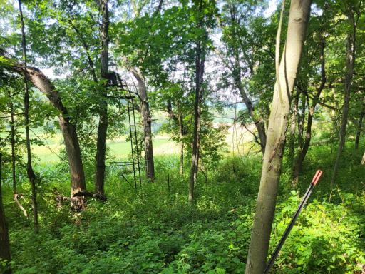 0 Walsky, Galesville, WI 54630
