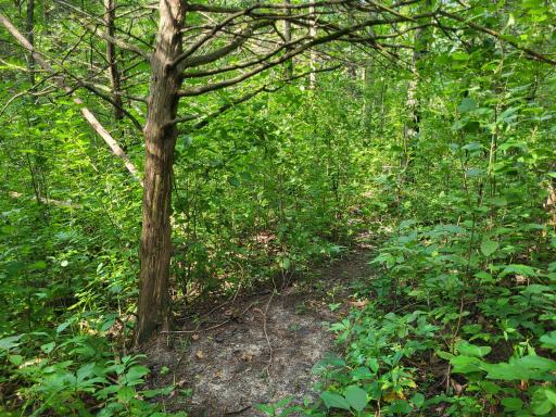 0 Walsky, Galesville, WI 54630