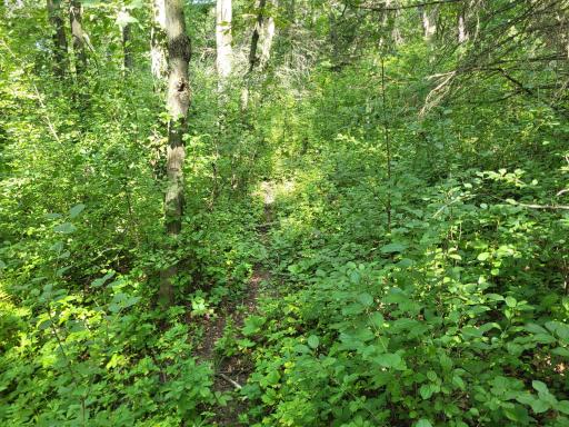 0 Walsky, Galesville, WI 54630