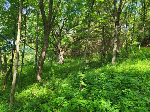 0 Walsky, Galesville, WI 54630