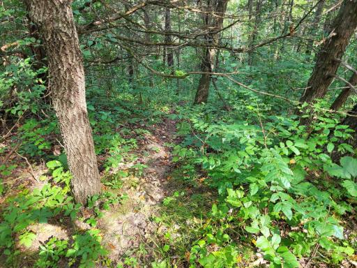 0 Walsky, Galesville, WI 54630