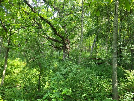 0 Walsky, Galesville, WI 54630